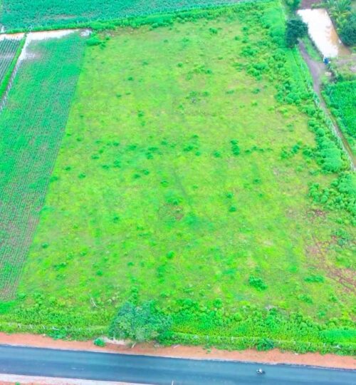 3 acres land for sale near kondurg