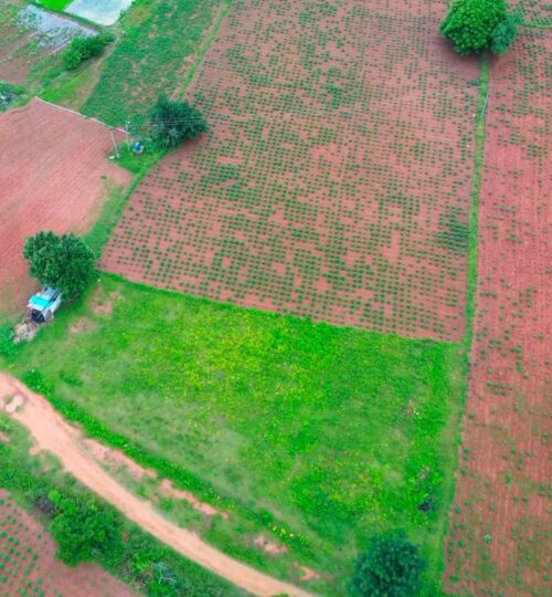 2.20 Acres Agriculture Land for Sale