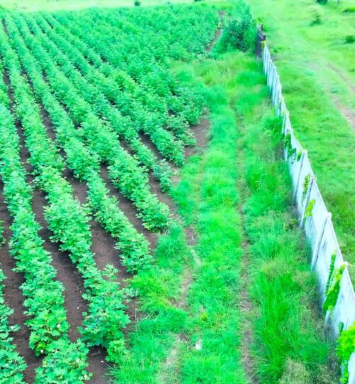 10 acres land for sale near chevella