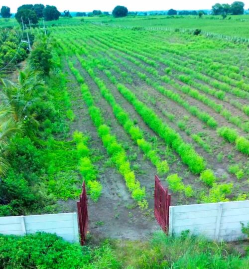 2.30 acres land for sale