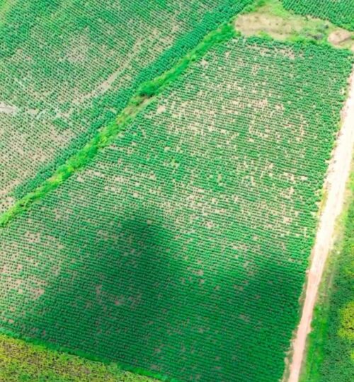 24 acres land for sale