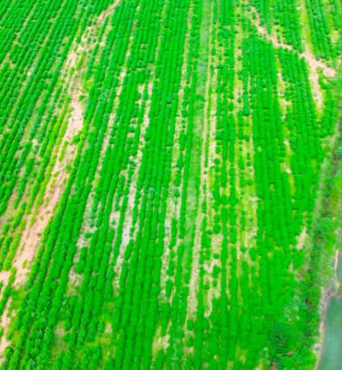 3 acres land for sale