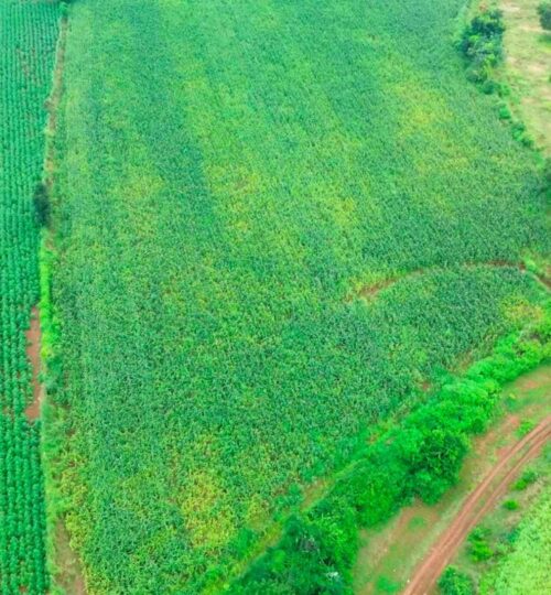 4.20 acres land for sale