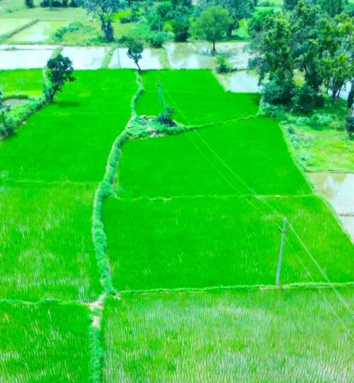 2 acres land for sale