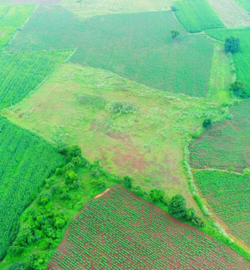 15 Acres Land for Sale Near Kondurg
