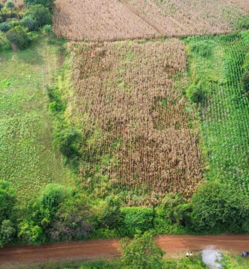 1 acre land for sale near pargi