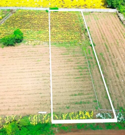10 guntas land for sale