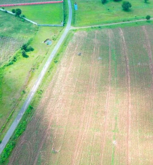 12 acres land for sale