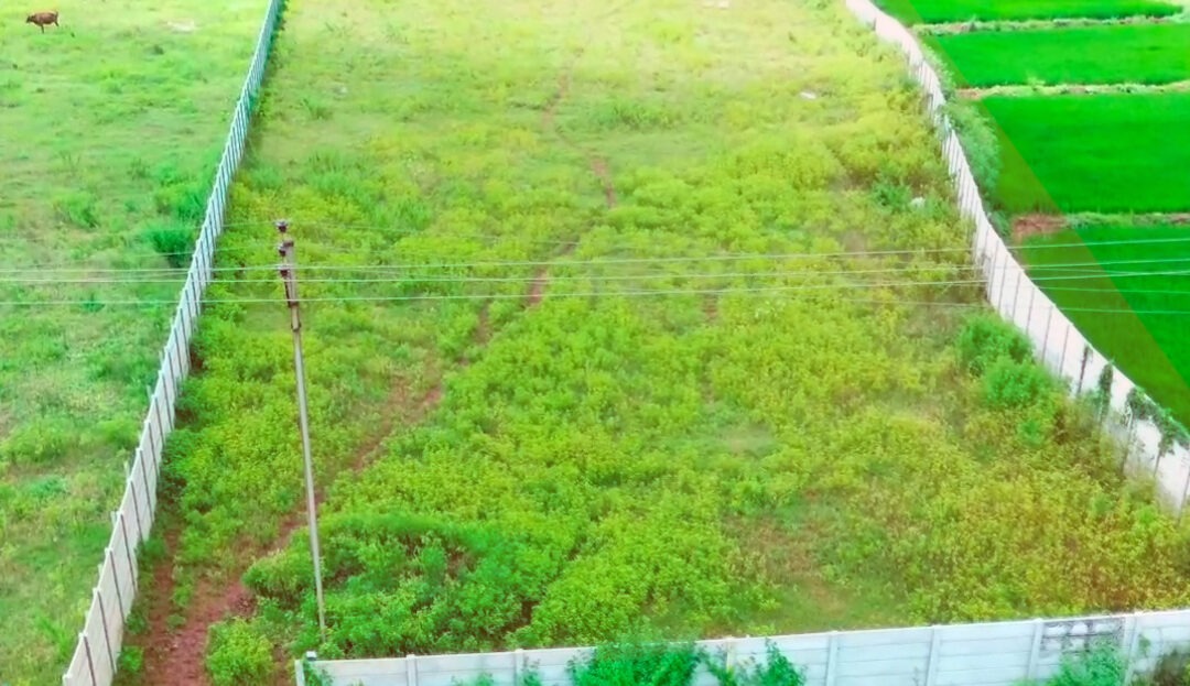 video image