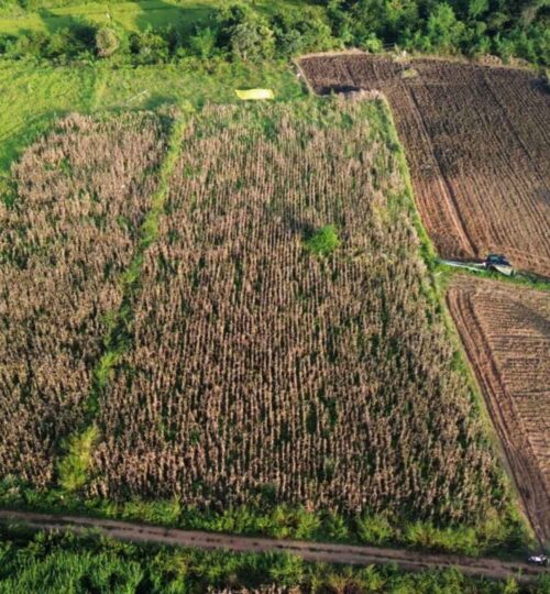 20 guntas land for sale