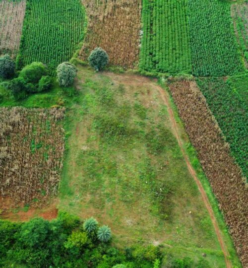 32 guntas land for sale in pargi