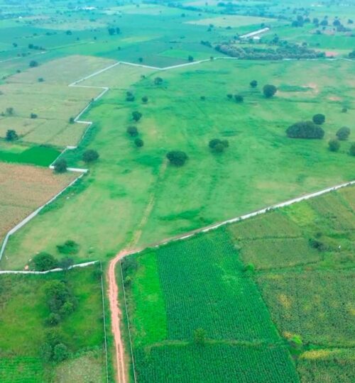 50 acres land for sale near shadnagar