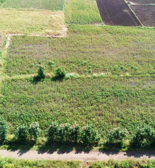 1 acre land for sale near pargi