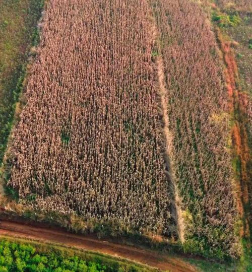 2 acres land for sale near pargi