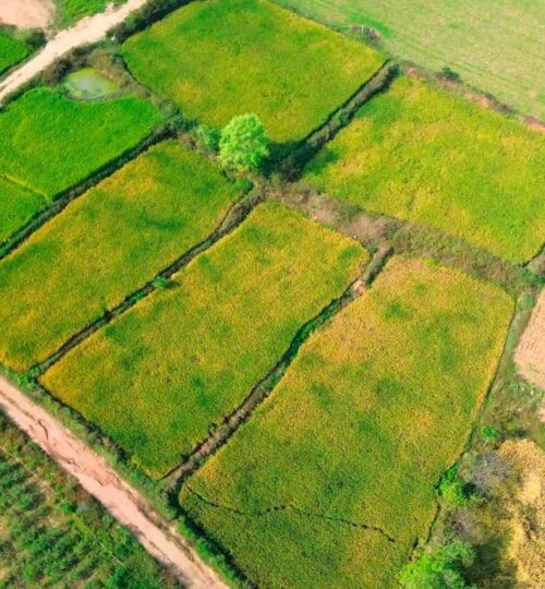 2 acres land for sale near pargi doma