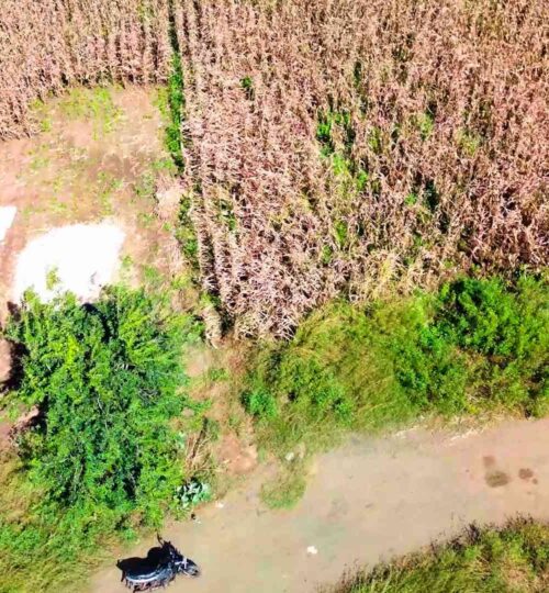 one land price in pargi