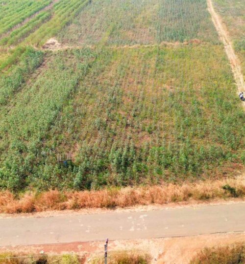 1 acre land for sale near pargi