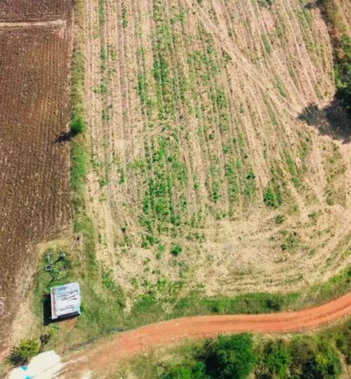 1 acre land for sale