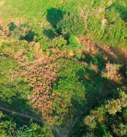 2.20 acres land for sale near pargi