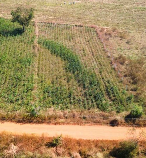 half acre land for sale