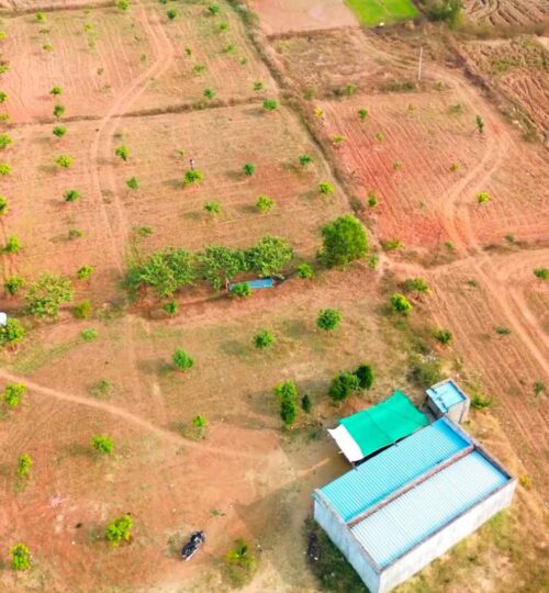 buy land with mango farm in pargi