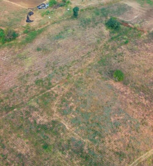 4 acres land price in pargi