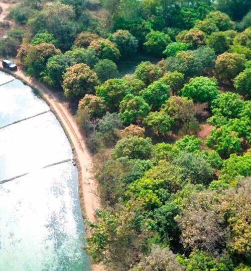 4.20 acres land for sale