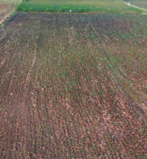 5 acres land for sale