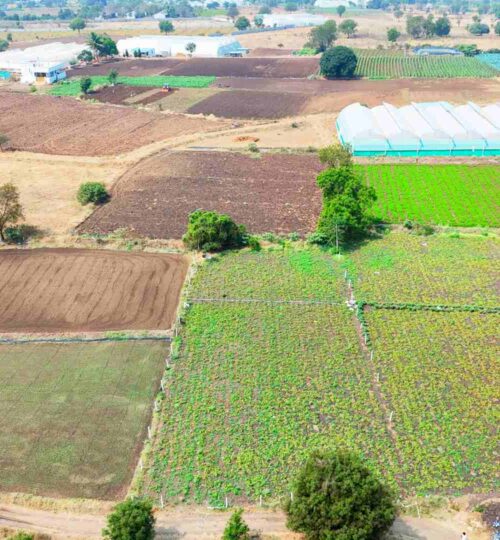 16 guntas land for sale near chevella