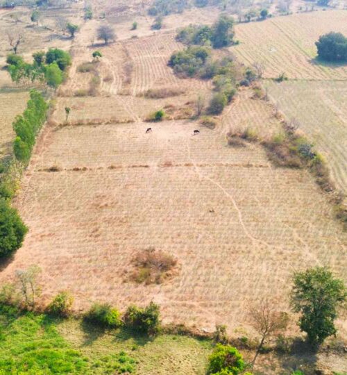 buy 4 acres agriculture land in pargi