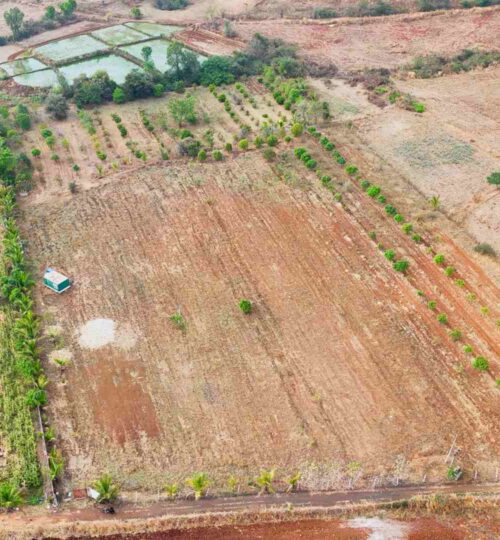 5 acres agriculure land for sale