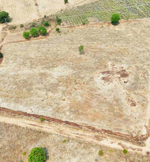 3 acres farmland in chevella