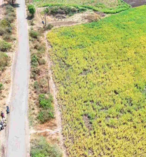 3 acres land for sale