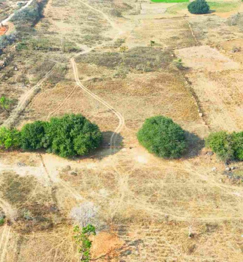 3.20 acres land price near pargi