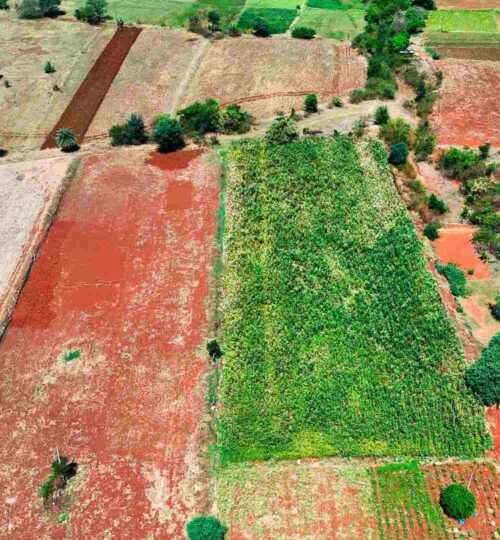 1 acre agriculture land cost in pargi