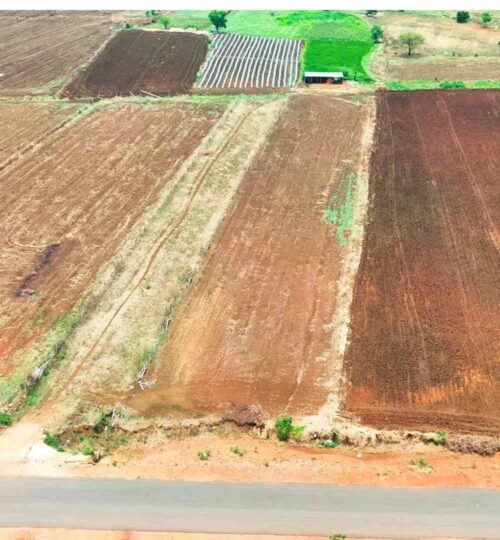 1 acre agriculture land near kondurg