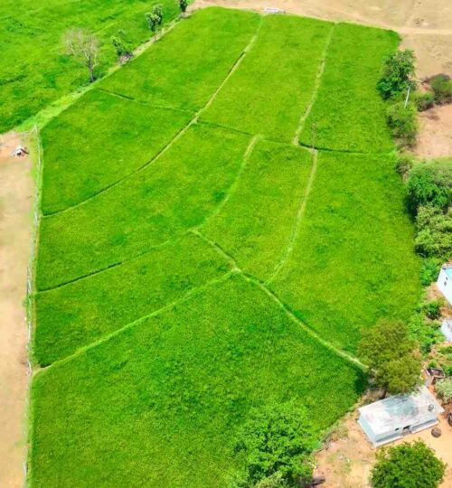 price od 1 acres agriculture land in pargi