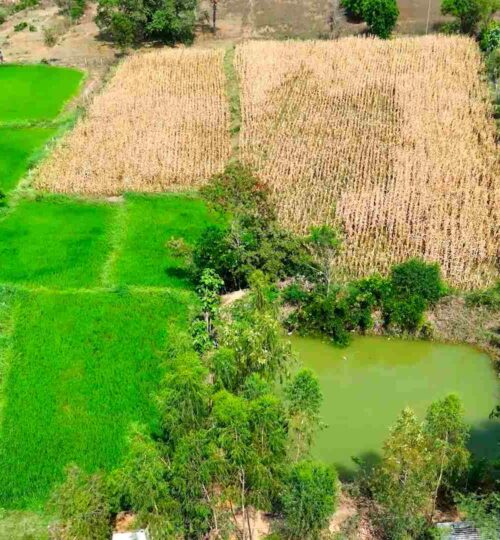 2 acres land in pargi