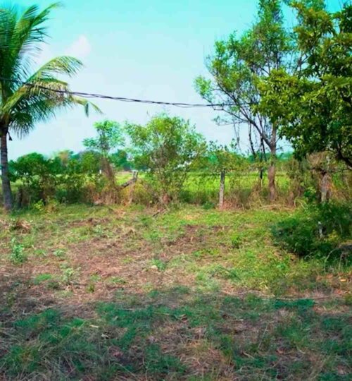 property for sale near moinabad