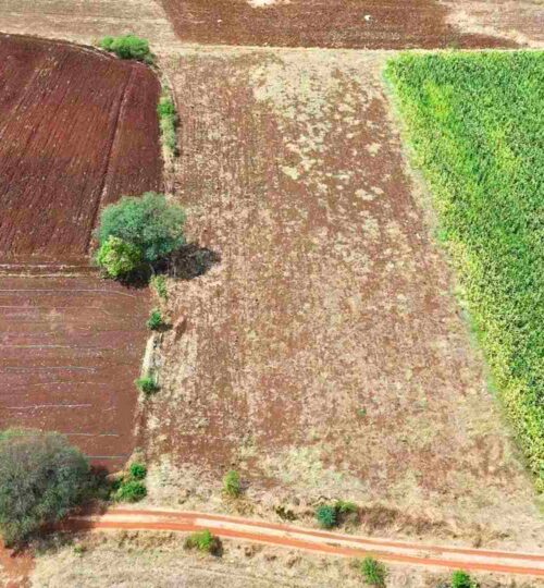 cost of 1 acre agriculture land in pargi