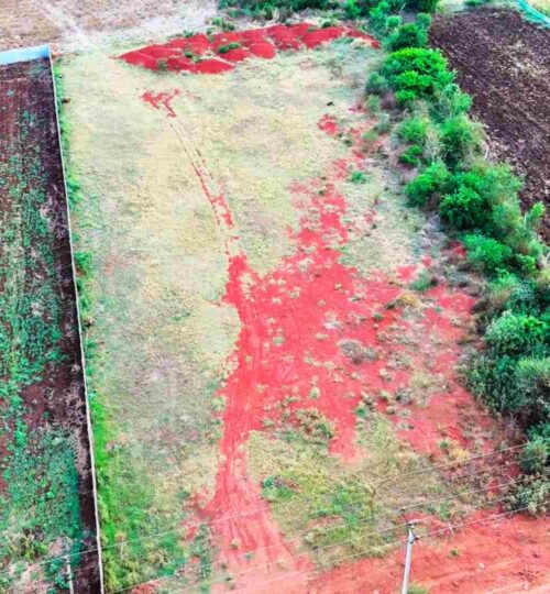 1 acre agriculture land near pargi