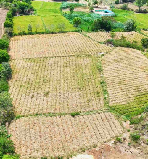 pargi property for sale
