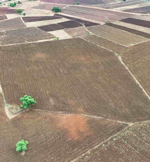9 acres agriculture land for sale