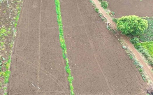 1 Acre Land