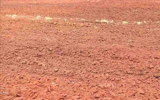 1 Acre Land