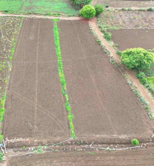 1-acre clear titled property for sale near pargi