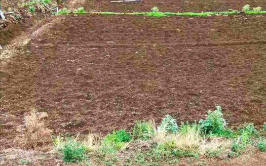 1 Acre Land