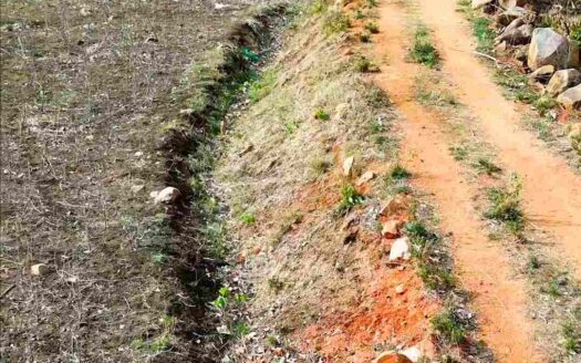 1.10 Acres Land