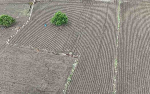 2 Acres Land