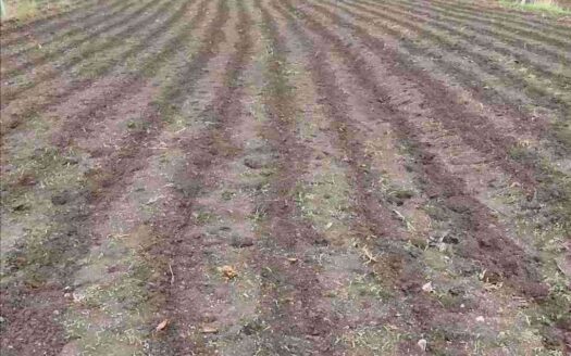 2 Acres Land